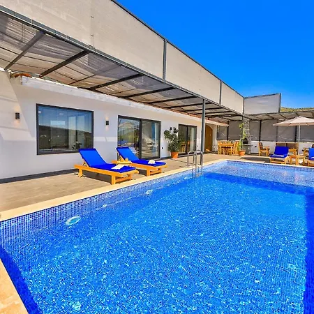 Summery Villa